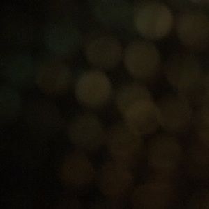 Meet your Posher, Sadie